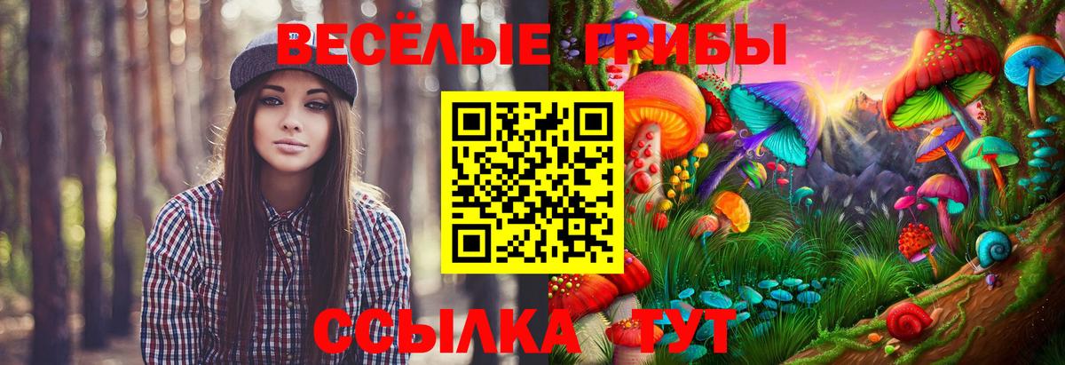 Псилоцибиновые грибы мицелий Прохладный