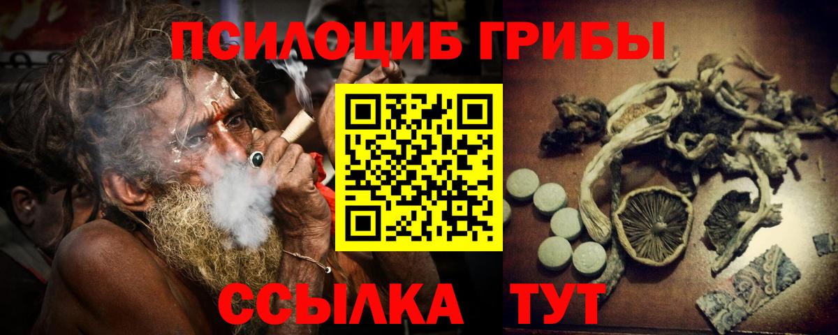 закладка  Галлюциногенные грибы прущие грибы  Вход с VPN  Псилоцибиновые грибы Magic Shrooms  Прохладный 